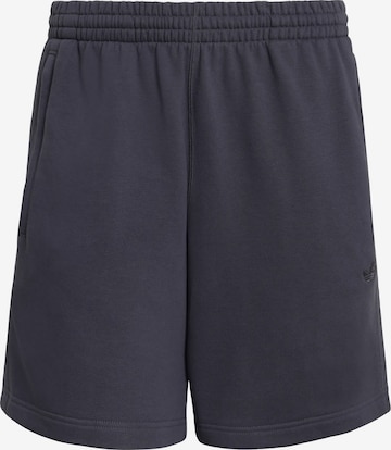 Pantaloni di ADIDAS ORIGINALS in grigio: frontale