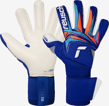 REUSCH Torwarthandschuhe 'Attrakt Gold X NC Gravity' in Blau: Vorderseite
