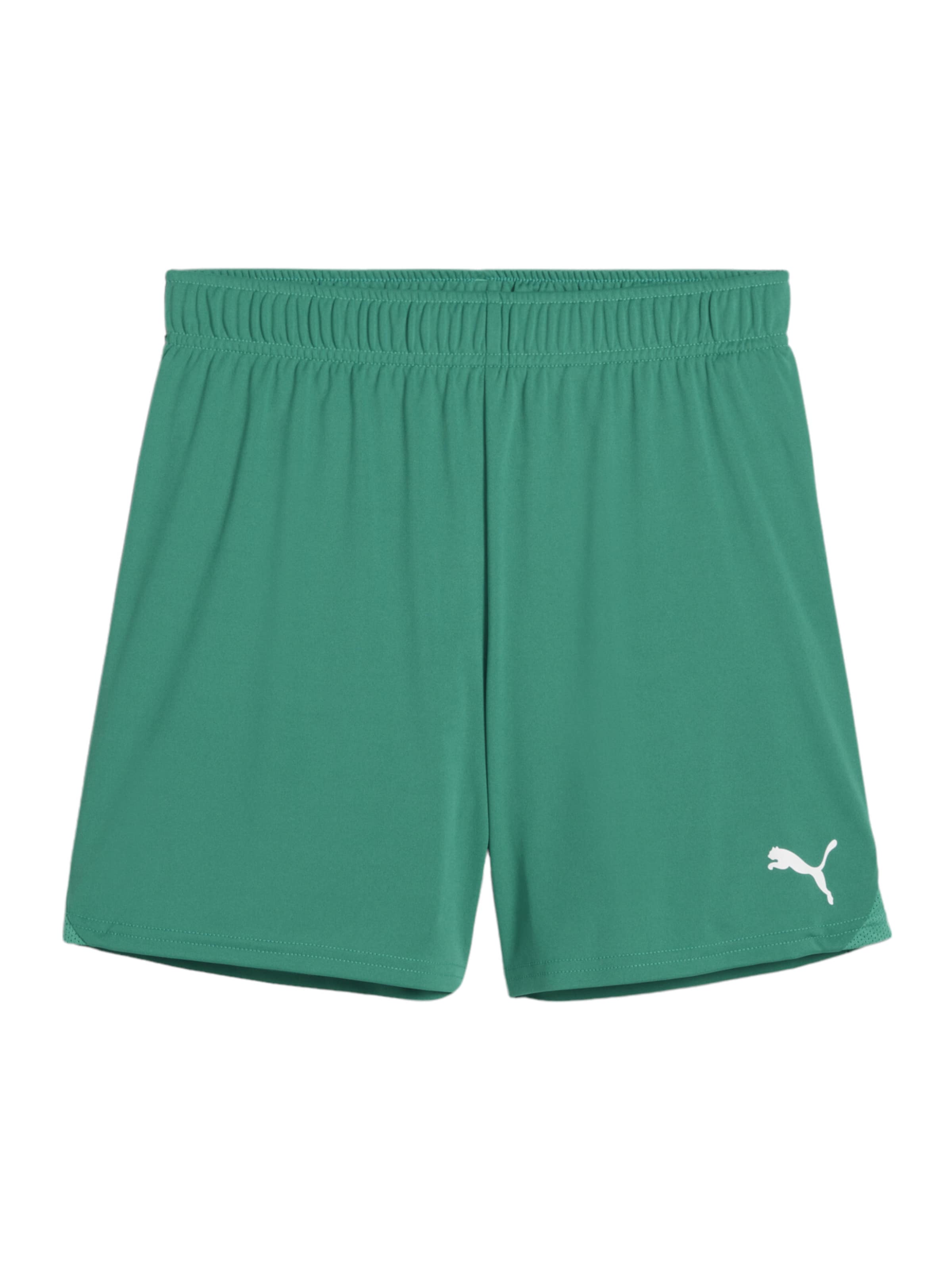 PUMA Workout Pants in Green: front