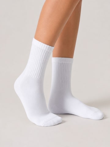 sockenkauf24 Athletic Socks in White: front