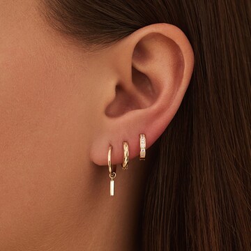 Beloro Jewels Earrings in Gold: front