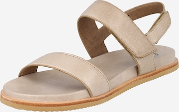 Ca'Shott Sandals in Grey: front