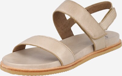 Ca'Shott Sandals in Greige, Item view