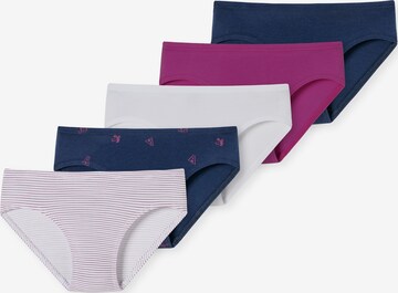 SCHIESSER Underpants ' 95/5 Organic Cotton ' in Mixed colors: front