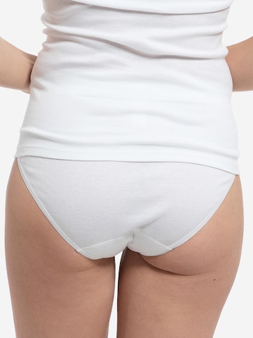 SPEIDEL Slip 'bio.cotton Sport Edition' in Weiß