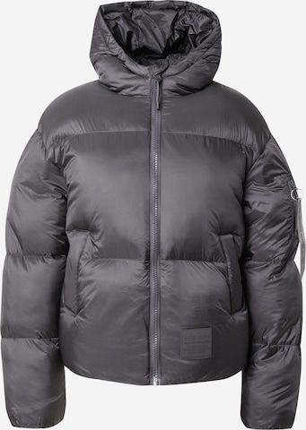 ALPHA INDUSTRIES Зимняя куртка в Серый: спереди
