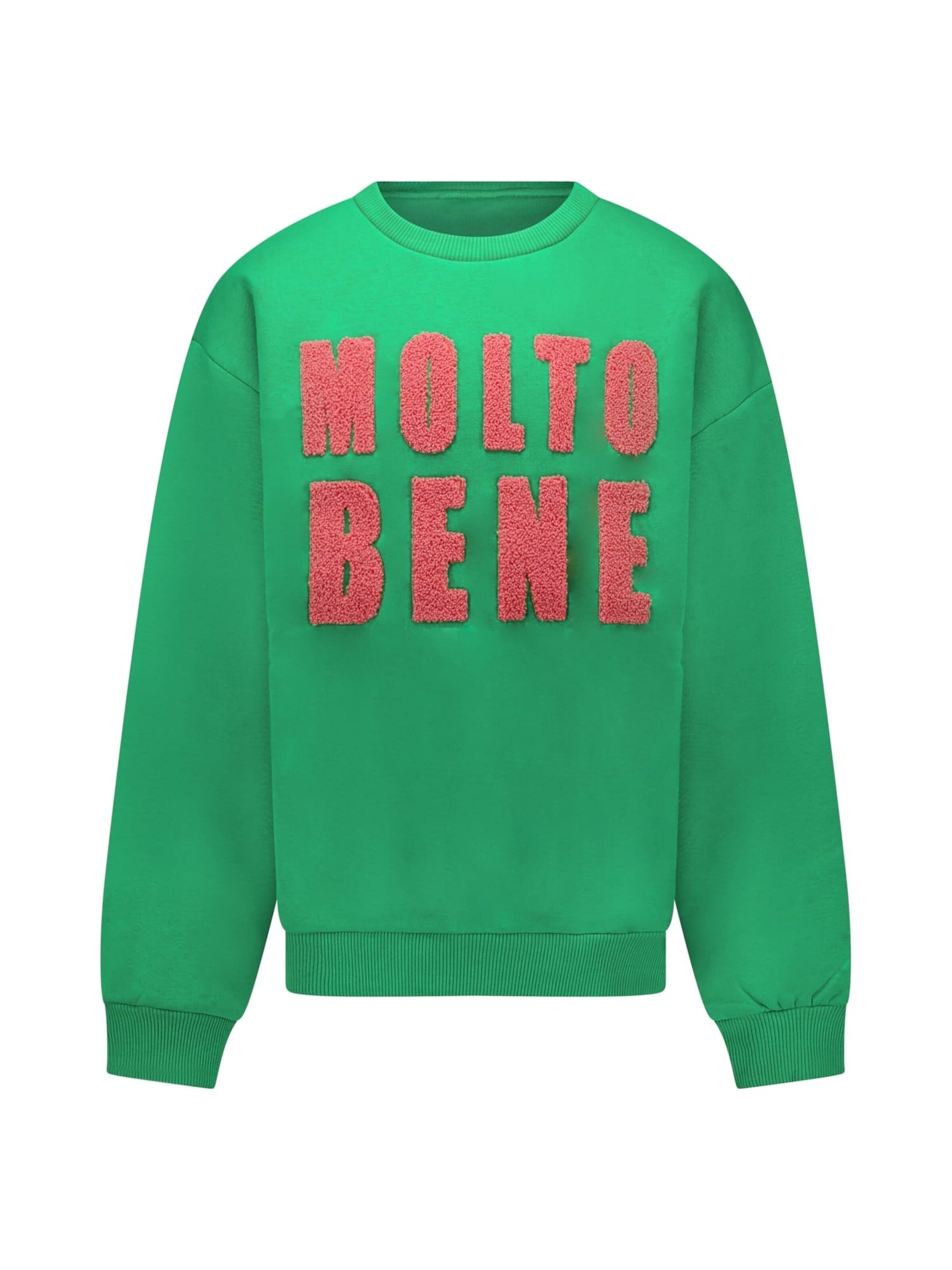 CARS Sweatshirt in Green: front