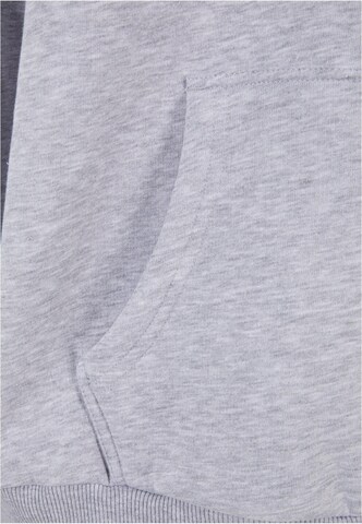 K1X Sweatshirt i grå