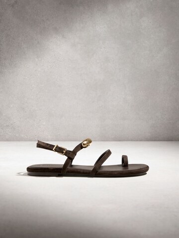 Next Sandalen met riem in Bruin