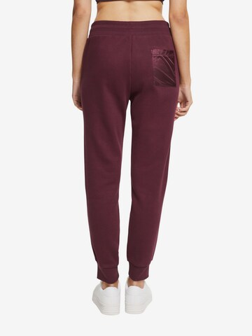 ESPRIT Tapered Sportbroek in Rood