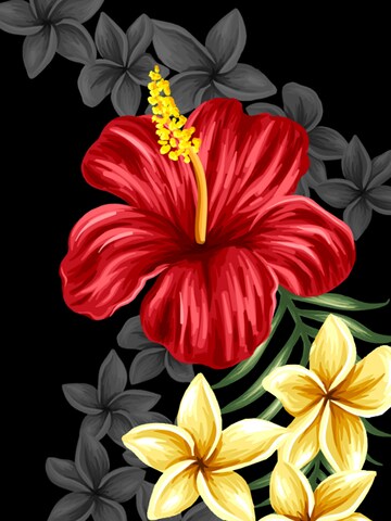 Hawaiihemdshop.de Regular fit Overhemd 'Black Elegance' in Zwart