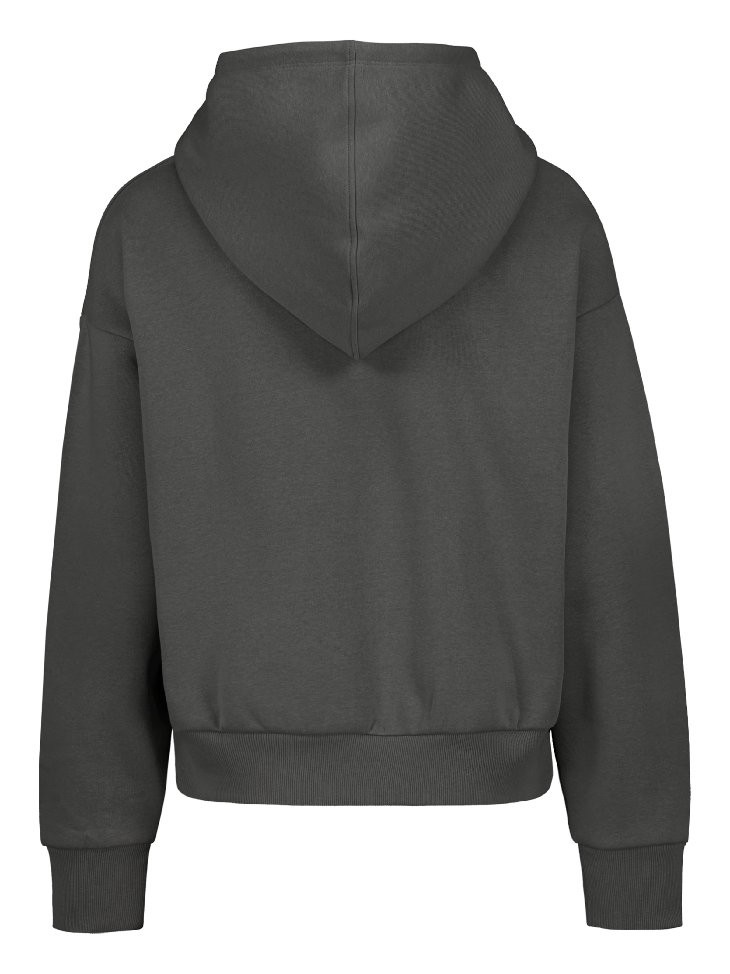 Sublevel Sweatshirt in Grau