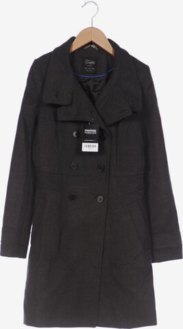 Trafaluc Jacket & Coat in S in Grey: front