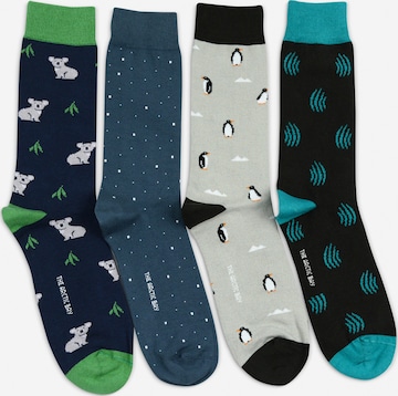 Chaussettes 'AUSTRAL EDITION Gift box 4 Pack Unisex' The Arctic Bay en mélange de couleurs : devant