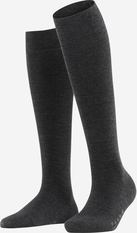 FALKE Knee High Socks in Grey: front