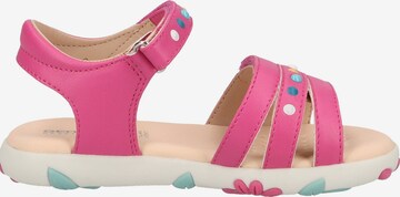 GEOX Sandals in Pink