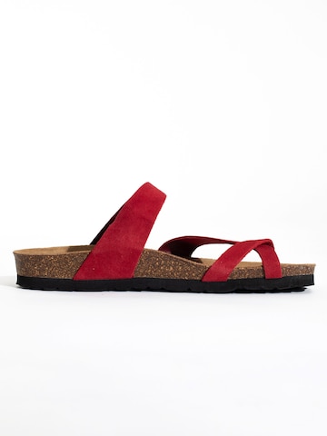 Mule 'Diane' Bayton en rouge