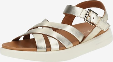 GEOX Sandalen met riem in Goud: voorkant