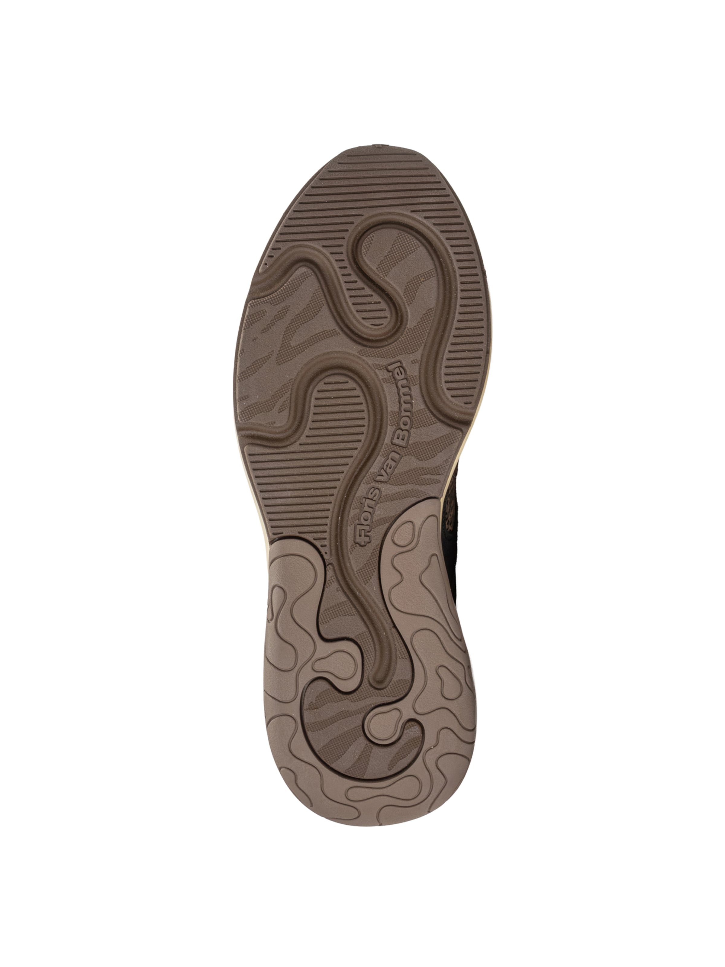 Floris van Bommel Sneaker 'Holli 01' in Braun