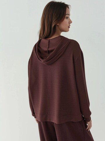 Sweat-shirt Hiccup en marron