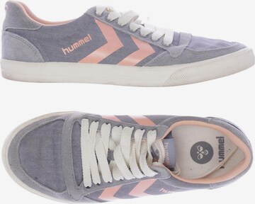 Hummel Sneakers & Trainers in 36 in Blue: front