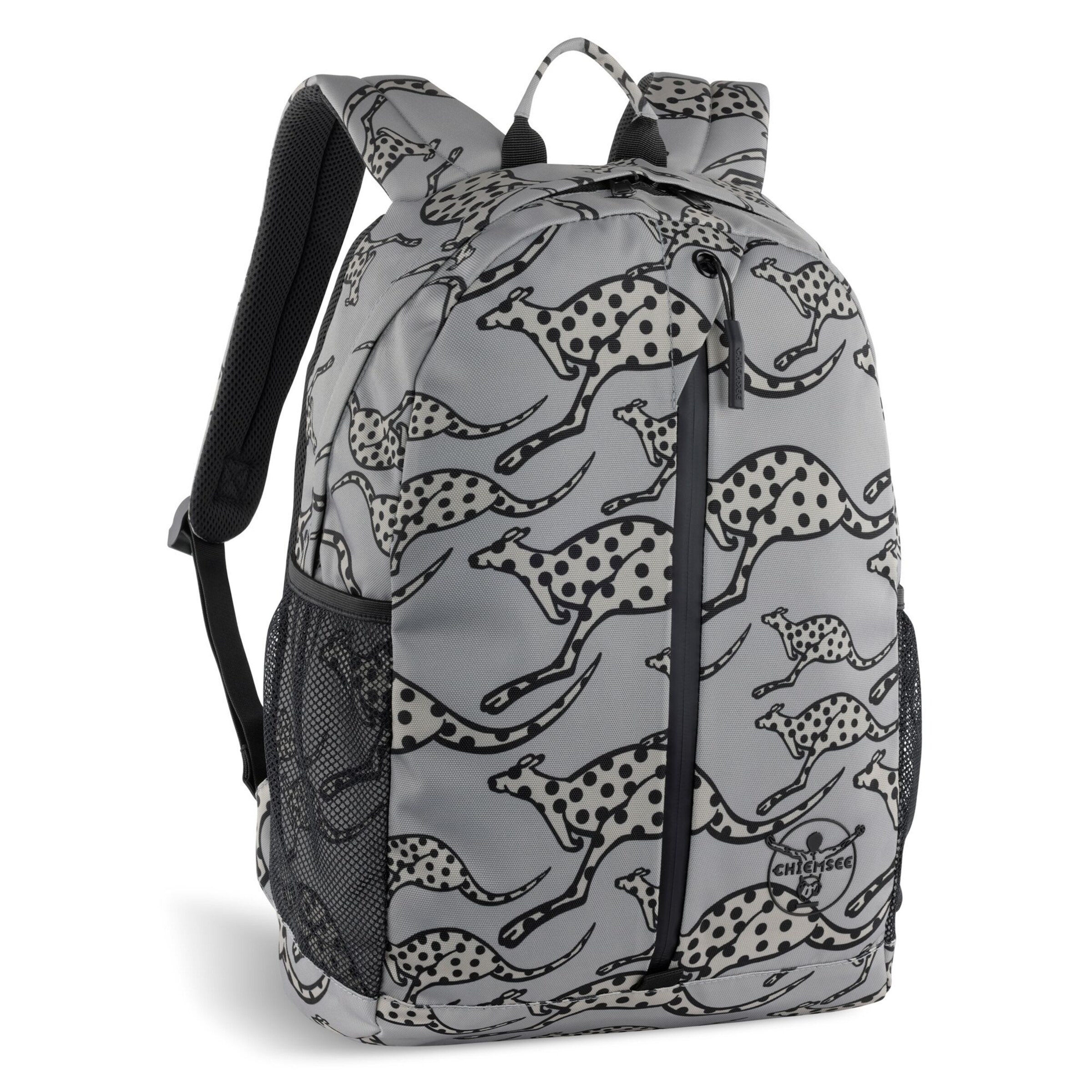 CHIEMSEE Rucksack in Grau