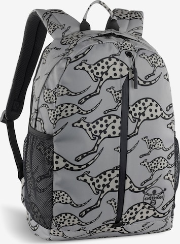 CHIEMSEE Backpack in Grey