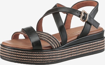 MARCO TOZZI Sandals in Black: front