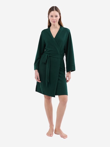 ETAM Morgenmantel 'Lorie' in Grün: Vorderseite