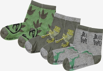 Jurassic World Socks in Grey: front