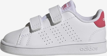ADIDAS ORIGINALS Кроссовки 'Advantage CF' в Белый: спереди