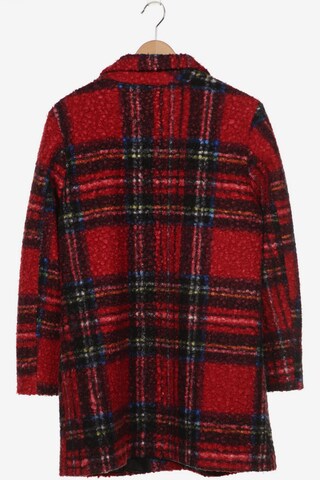 Qiero Jacket & Coat in XXL in Mixed colors