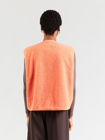 AMERICAN VINTAGE Bodywarmer 'HOKTOWN' in Oranje