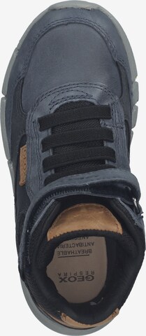 GEOX Sneaker in Blau