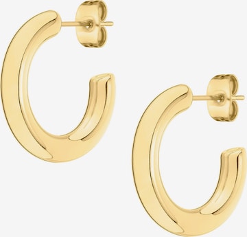 Liebeskind Berlin Earrings in Gold: front