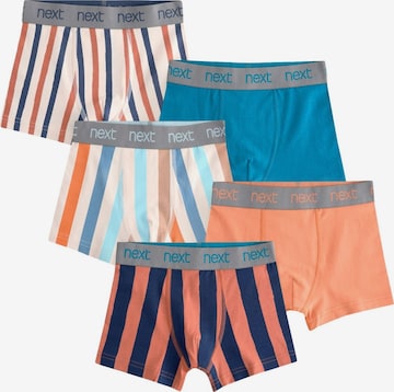 mėlyna Next Maudymosi kelnaitės: priekis