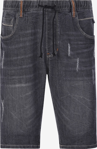 Pantalon ' Lambrit ' Jan Vanderstorm en gris : devant