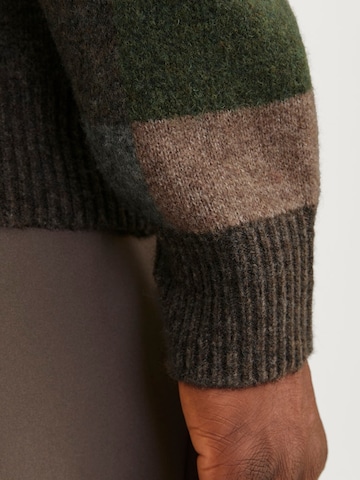 JACK & JONES Sweater in Green