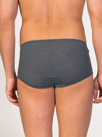 zd ZERO DEFECTS Panty 'Senior Fly Front Brief' in Grey