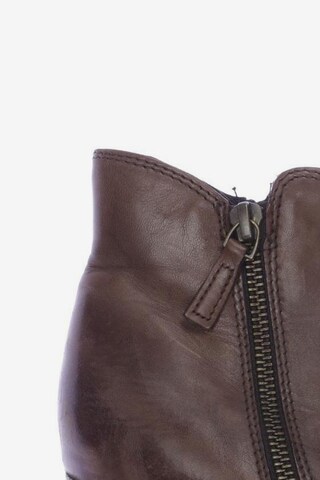COX Dress Boots in 41 in Brown