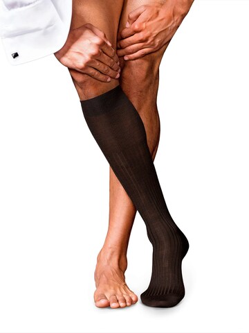 FALKE Knee High Socks 'No. 7 Finest Merino' in Brown: front