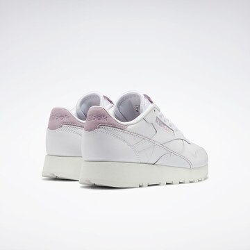 Baskets basses Reebok en blanc