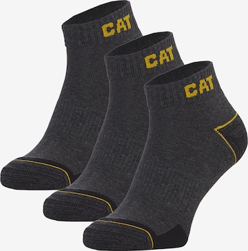 Chaussure basse CATERPILLAR en gris : devant