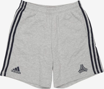 ADIDAS PERFORMANCE Shorts 26 in Grau: Vorderseite