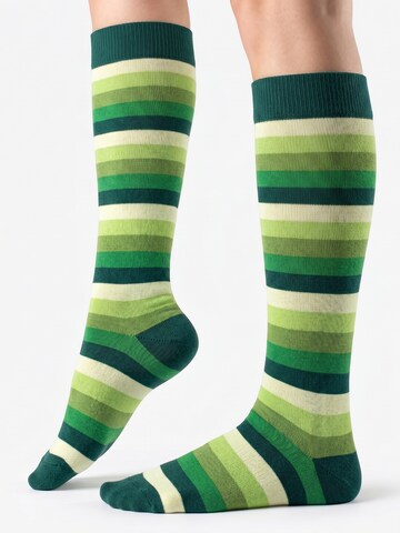 footstar Knee High Socks 'Ringel' in Green: front