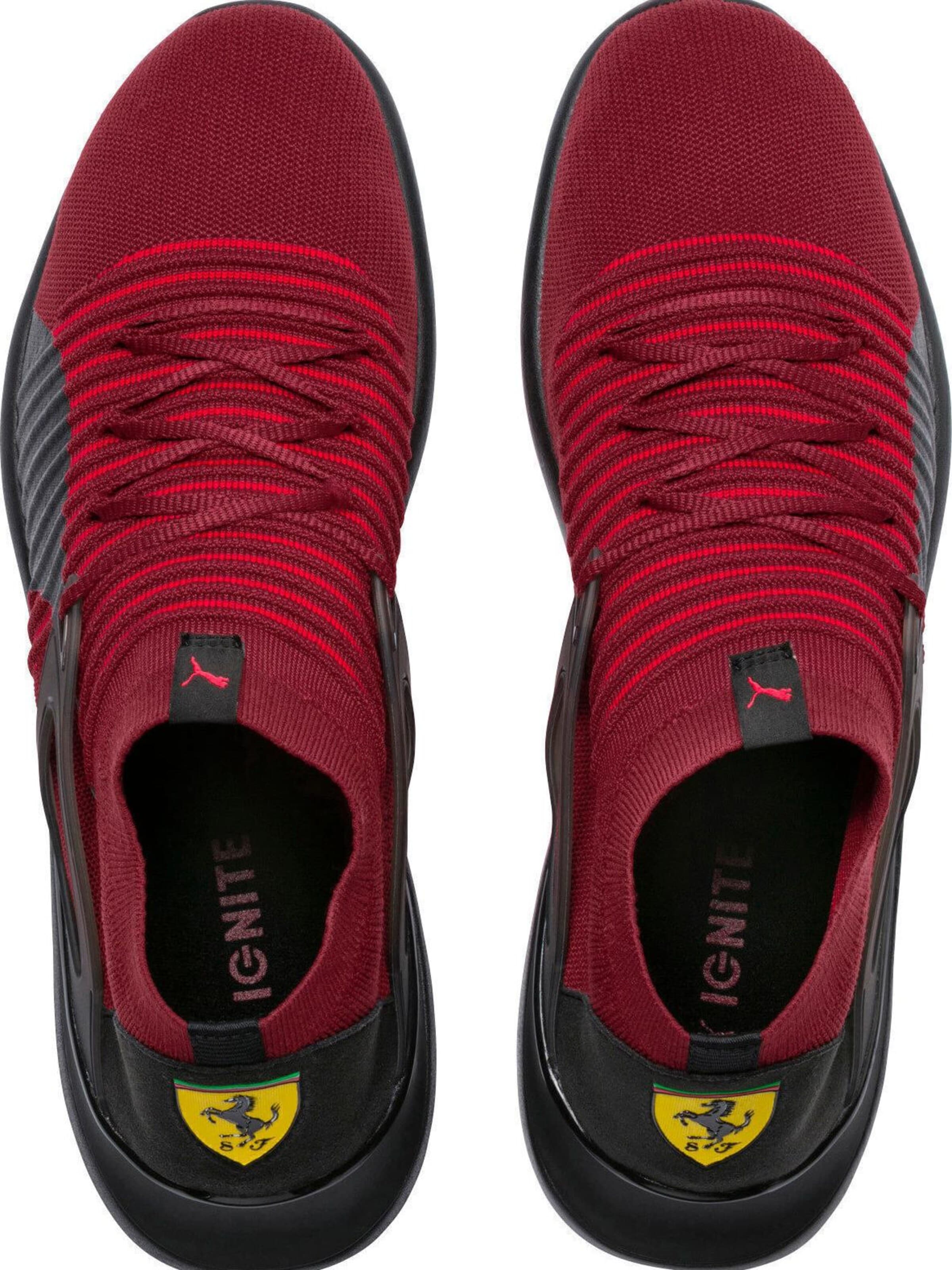 Scarpa sportiva 'Ferrari Evo Cat Sock Lace' di PUMA in rosso