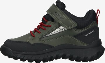 Baskets GEOX en vert