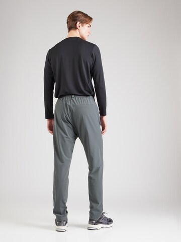 Slimfit Pantaloni per outdoor di ADIDAS TERREX in grigio