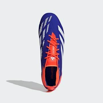 ADIDAS PERFORMANCE Soccer shoe 'Predator Elite' in Blue