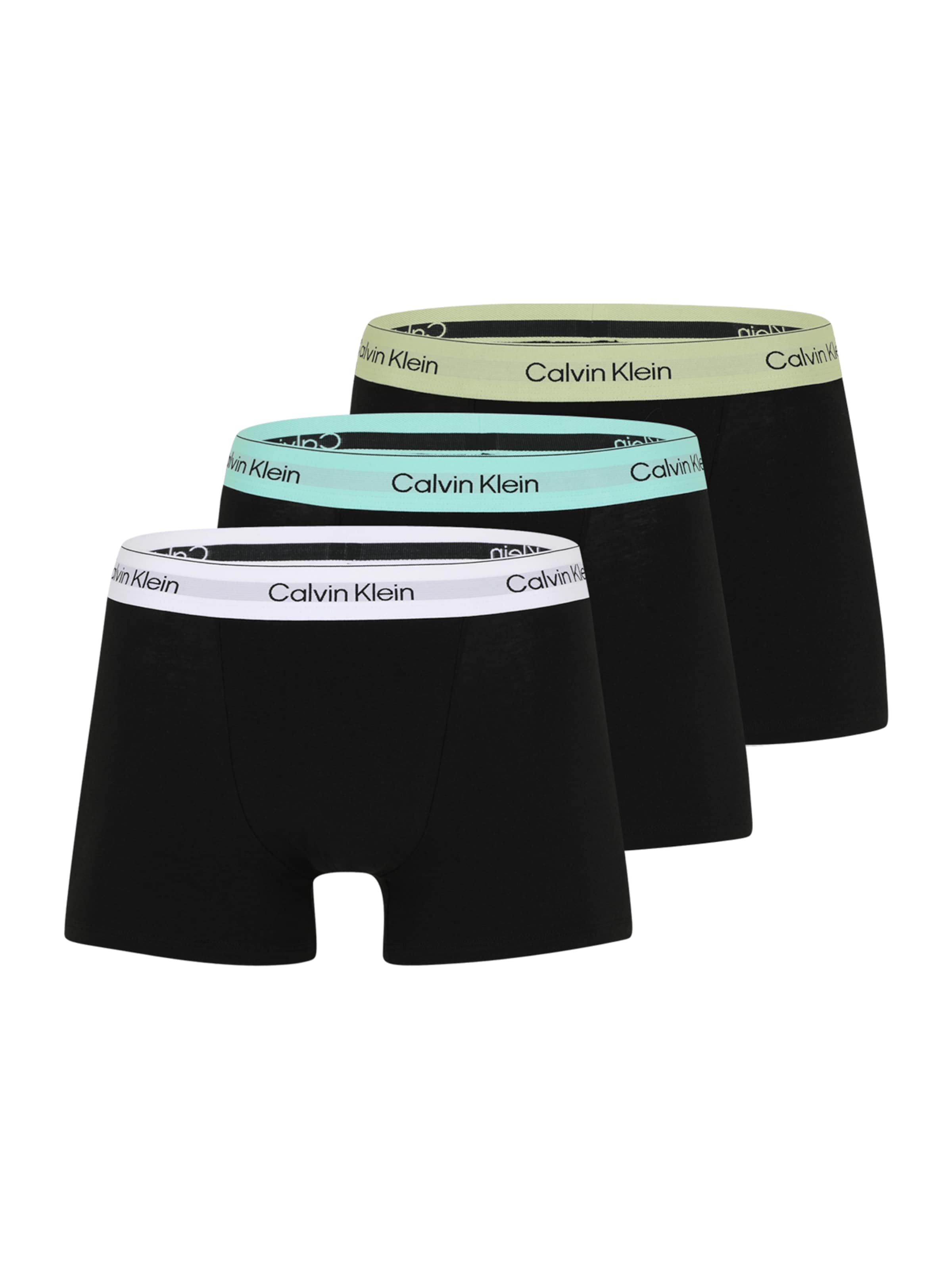 Calvin Klein Underwear Boxer shorts in Black: front